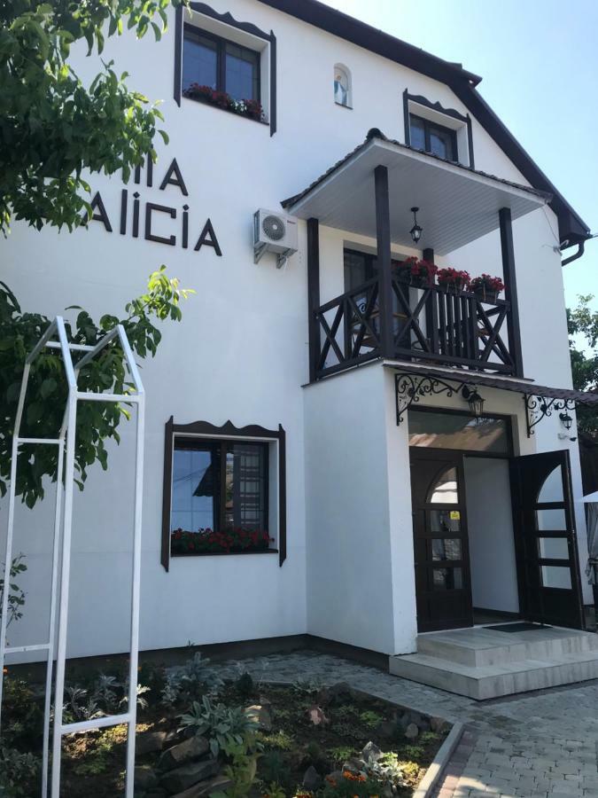 Villa Galicia بيرهوف المظهر الخارجي الصورة